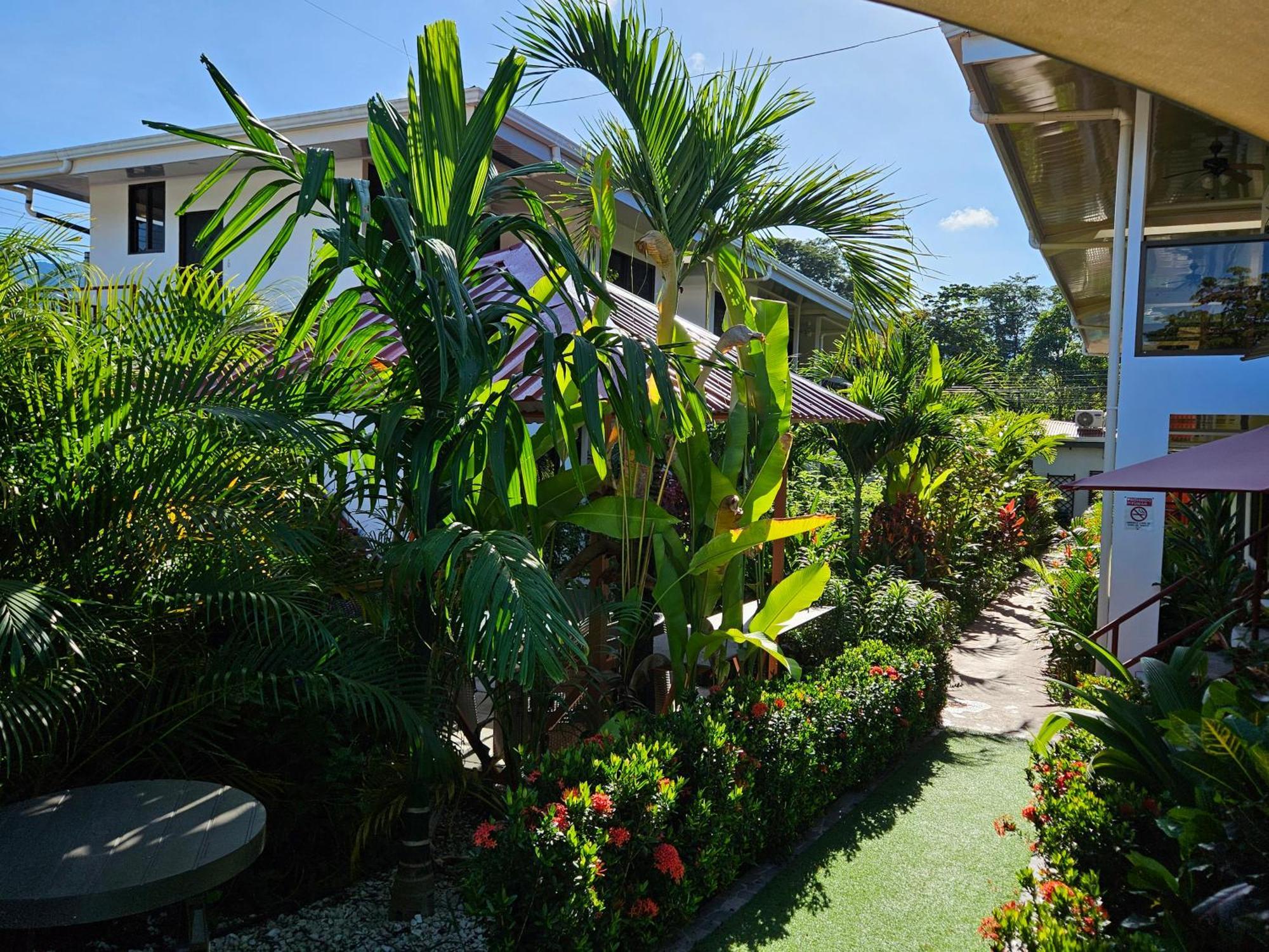 Ballena Rey Hotel Uvita Eksteriør billede