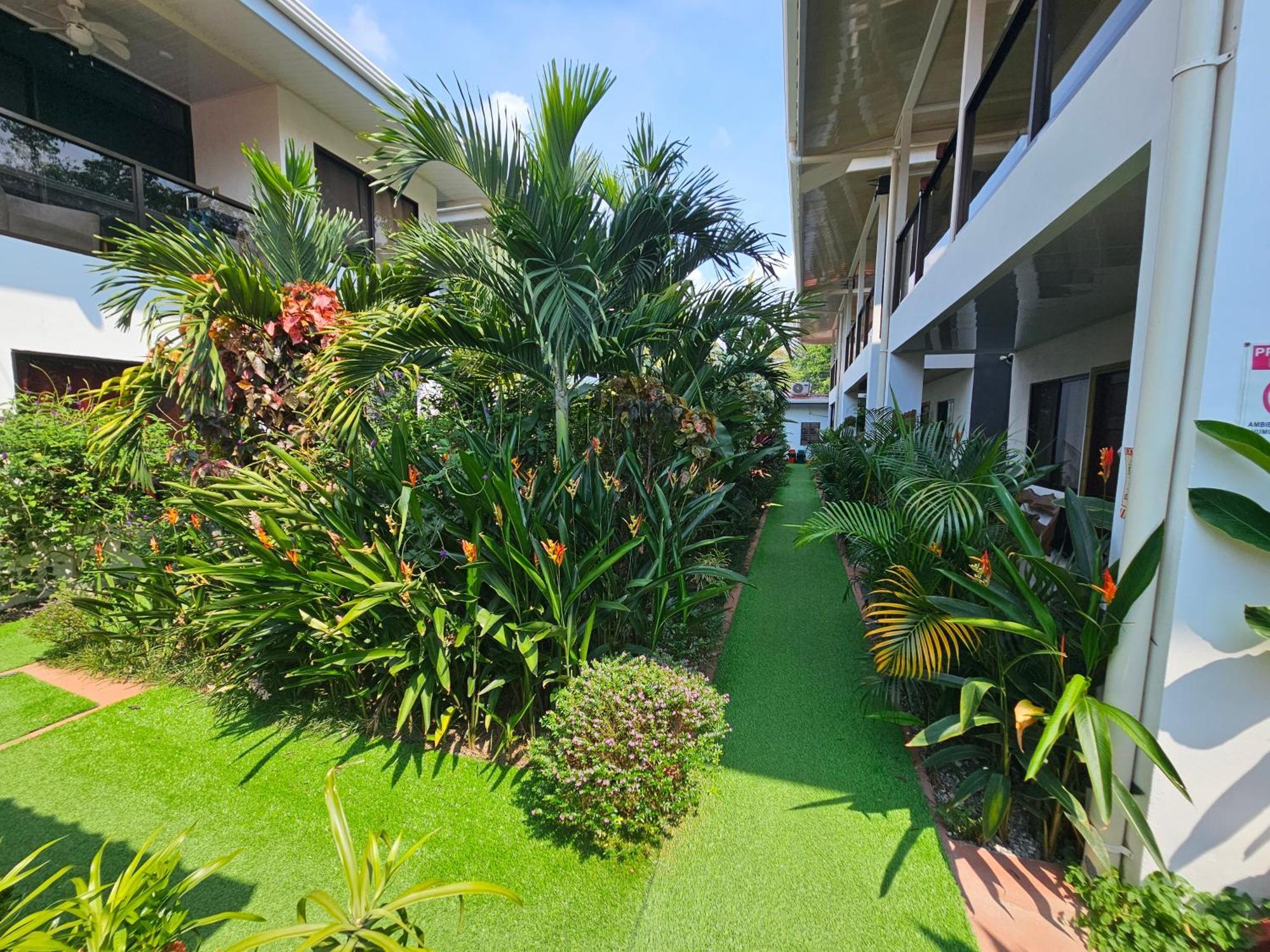 Ballena Rey Hotel Uvita Eksteriør billede