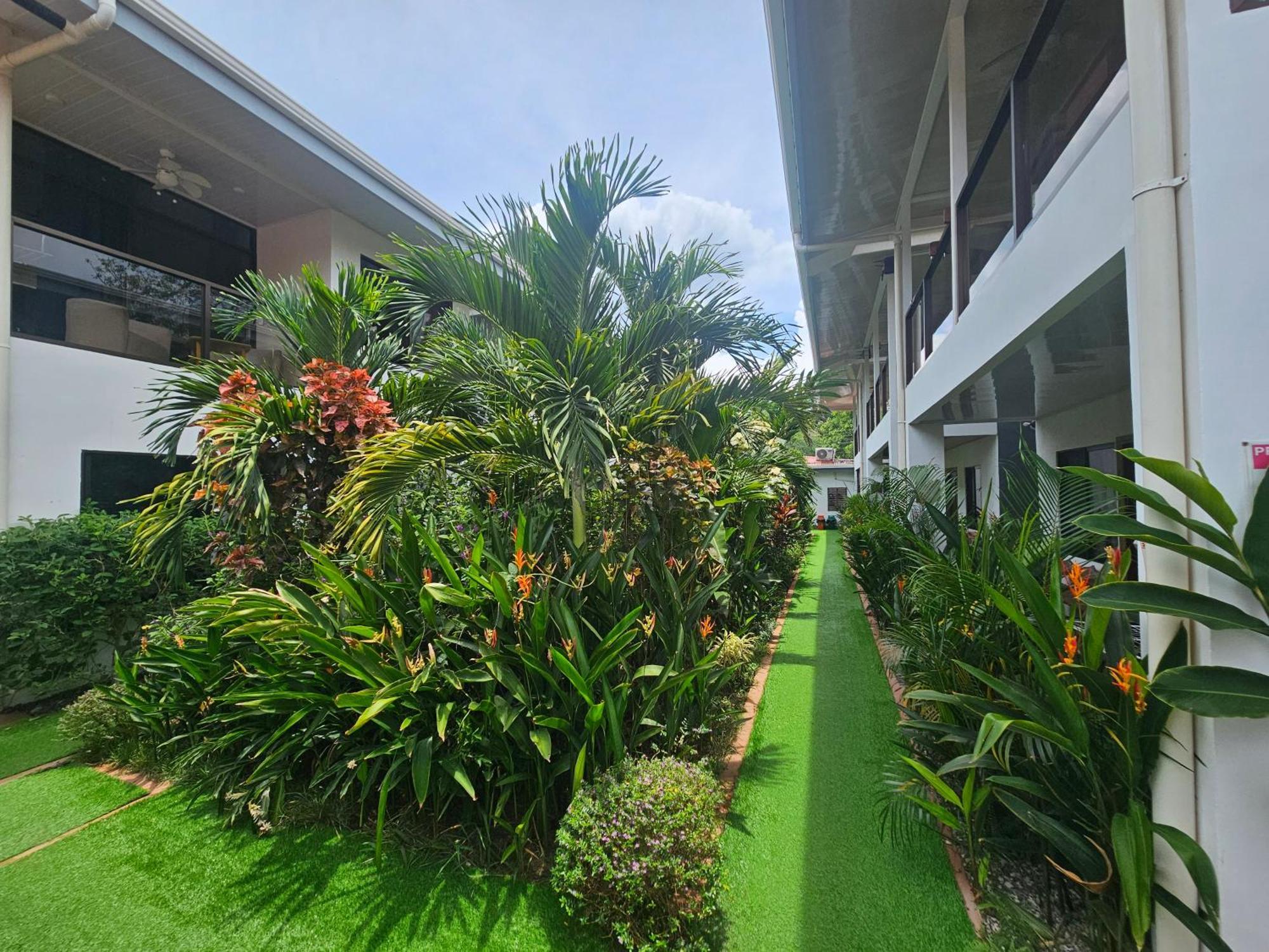 Ballena Rey Hotel Uvita Eksteriør billede