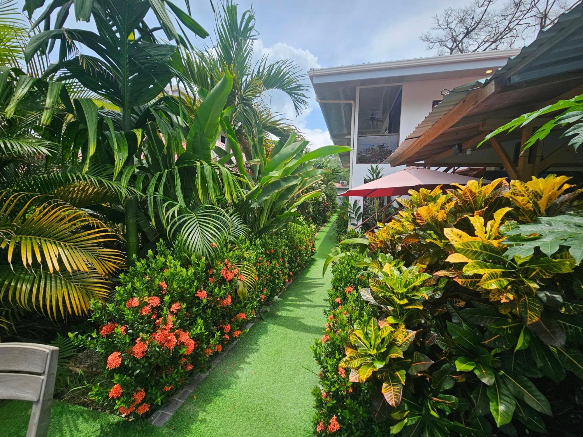 Ballena Rey Hotel Uvita Eksteriør billede